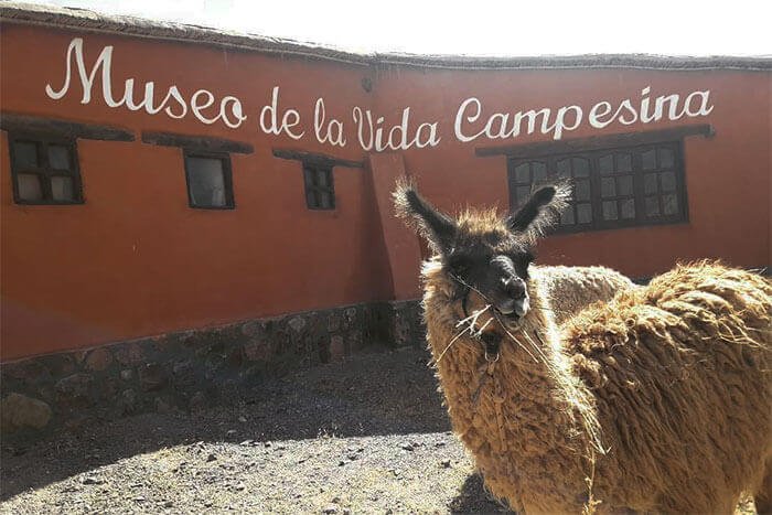 museo vida campesina maimara